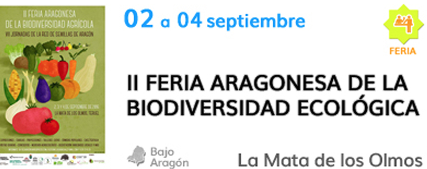 Lee más sobre el artículo CASA RURAL MILLÁN: II FERIA DE LA BIODIVERSIDAD EN LA MATA DE LOS OLMOS.