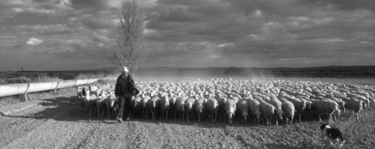 Lee más sobre el artículo CASA RURAL MILLÁN: 4 RAZONES POR LAS QUE HACER TURISMO RURAL.