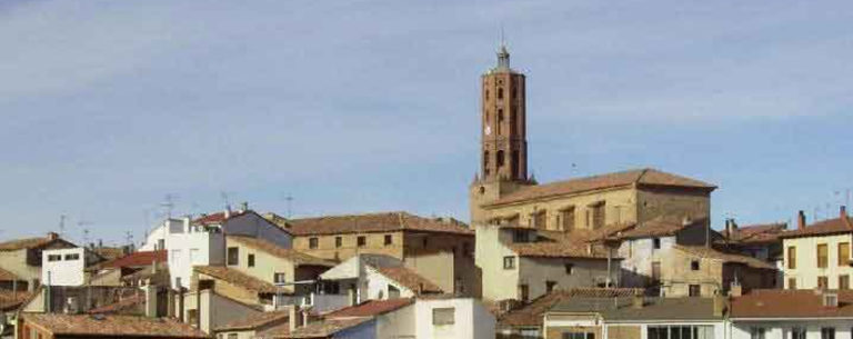 Lee más sobre el artículo LA MATA DE LOS OLMOS: UN PASEO POR NUESTRO PATRIMONIO.