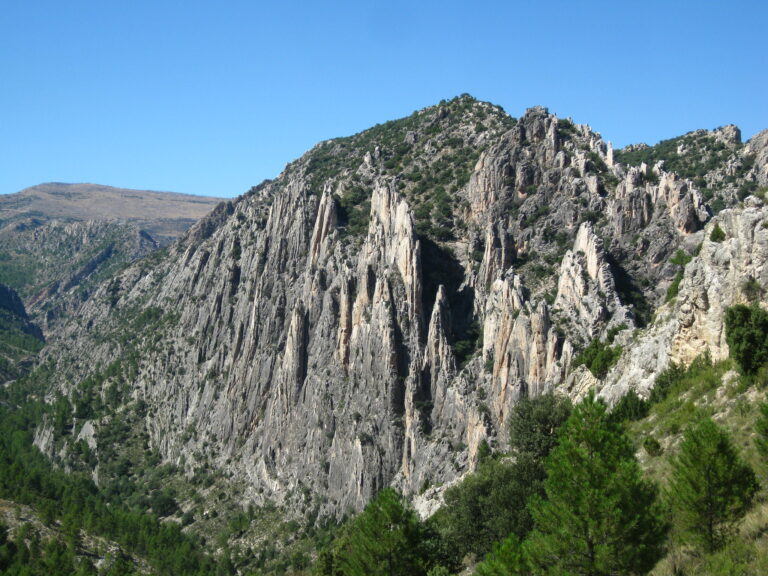 Lee más sobre el artículo MARZO. PASARELAS DE VALLORÉ Y BOSQUE DE HADAS EN MONTORO DE MEZQUITA