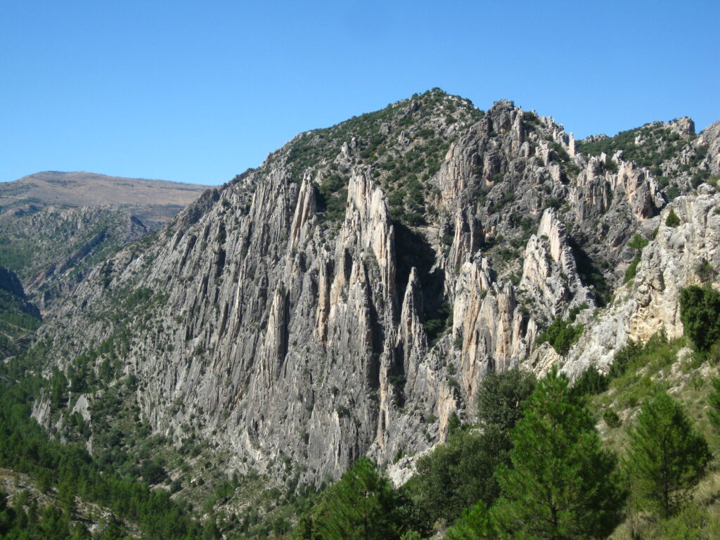 Lee más sobre el artículo MARZO. PASARELAS DE VALLORÉ Y BOSQUE DE HADAS EN MONTORO DE MEZQUITA